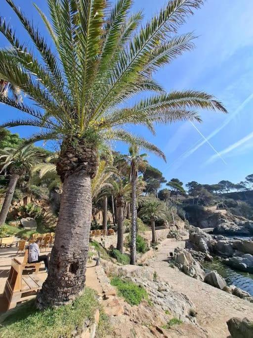 Apartamento Loft, Lloret De Mar Eksteriør billede